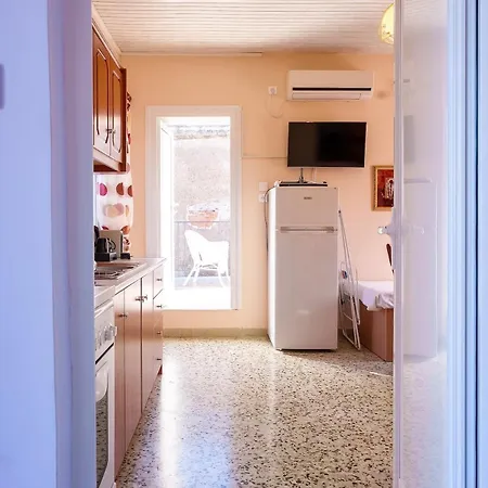 Vachlas Family House 1912 Balcony Nature Apartamento Agios Vlasios (Evia)